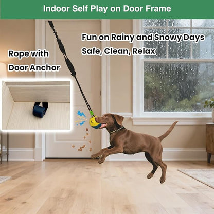 Dog Bungee Tug of War Toy, 4 Pieces Gift for Puppy/Small/Medium Dogs, Indoor Spring Pole Hang Over Door Frame, Outdoor Tether Tug Rope for Yard/Tree, Interactive Pull Toy for Self Play