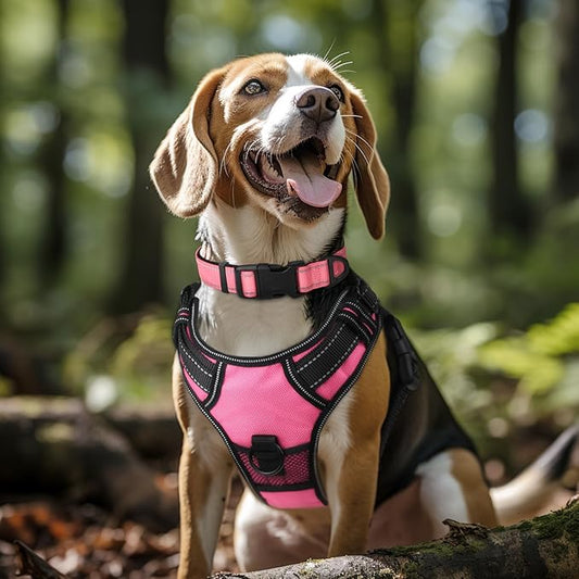 Joytale Reflective Dog Collar, Soft Neoprene Padded, Metal D-Ring, Nylon Pet Collar Adjustable for Large Dogs, Neon Pink, L