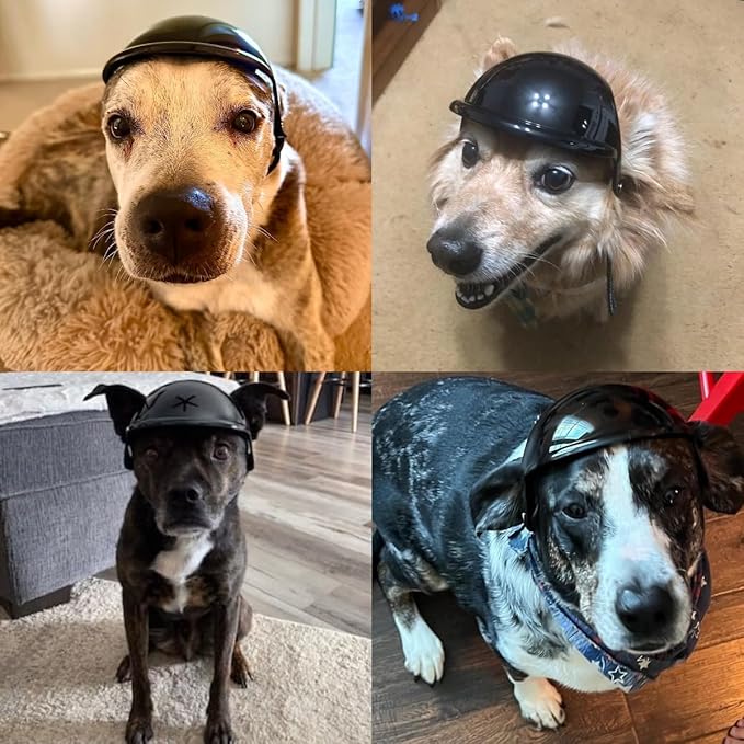 Medium Dog Helmet with Ear Holes - Adjustable, Lightweight, Hard Black Pet Helmet for Outdoor Activities/Motorcycle/Bike