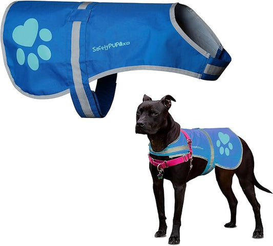 SafetyPUP XD Dog Reflective Vest – Hi-Vis Fluorescent Visibility That Helps to Safeguard Your Pet On/Off Leash in Urban & Rural Areas (Blue, Large)
