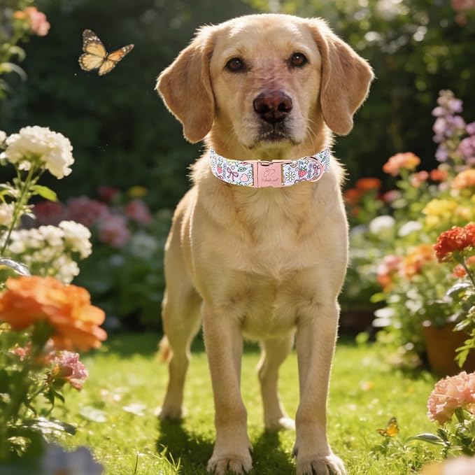 Cute Dog Collar, Spring Summer Pastel Dog Collars, Fruit Garden Dream Puppy Collar, Adjustable Heavy Duty Pet Collar for Small Medium Large Dogs with Metal Buckle XL