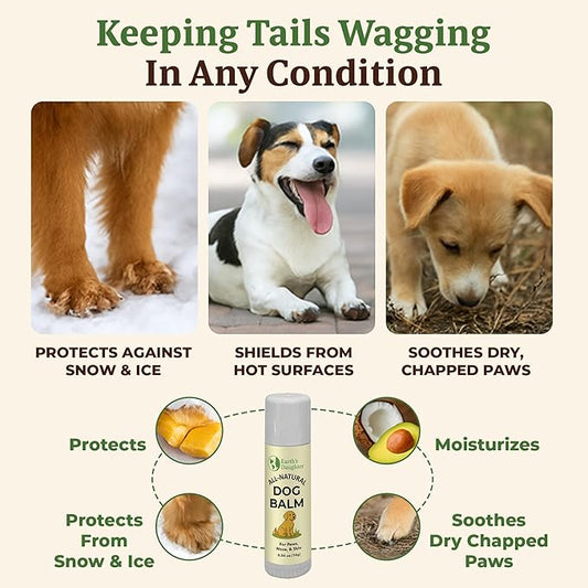 Earth’s Daughter Dog Paw Balm Big 0.56 oz – Organic Paw & Nose Protector with Beeswax, Coconut & Calendula – Itch Relief & Natural Skin Care for Dogs & Puppies – Travel Essential