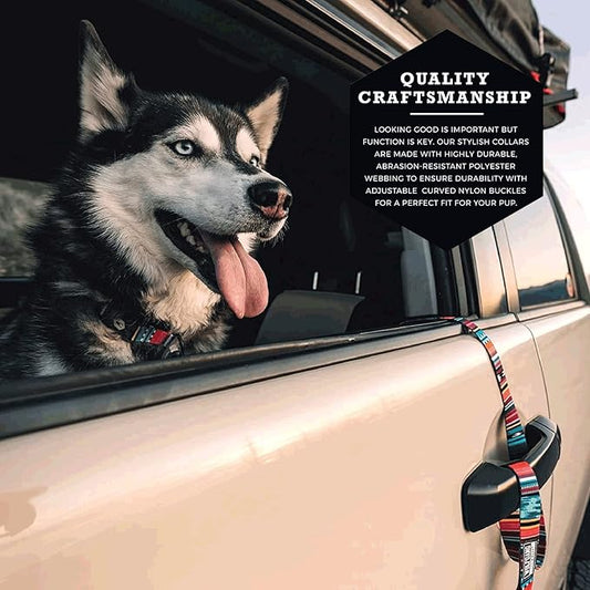 Wolfgang Heavy Duty, Adjustable Dog Collar with Quick Release Nylon Buckle for Walking & Training, Quetzal Print, Small