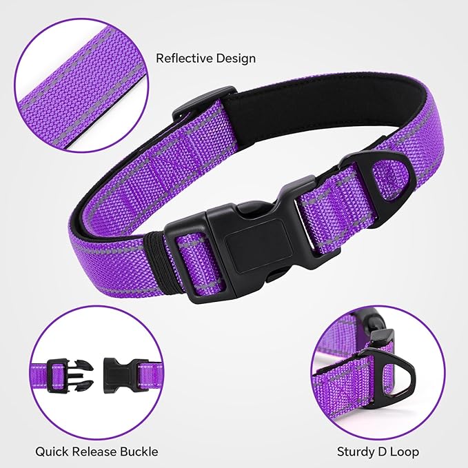 Reflective Dog Collar with Quick Release Buckle - Metal Ring - Adjustable Soft Neoprene Padded Basic Dog Collar for Small Medium Large Dogs (Purple, Small :Width 1",Neck 11.8-15.7")