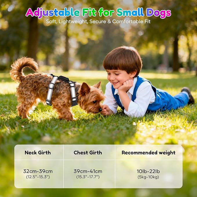 Light Up Dog Harness LED USB-C Rechargeable with Battery Indicator, Lighted Glow in The Dark Dog Harness Adjustable No-Pull Vest for Small Dogs, 7 Lighting Modes for Night Safety