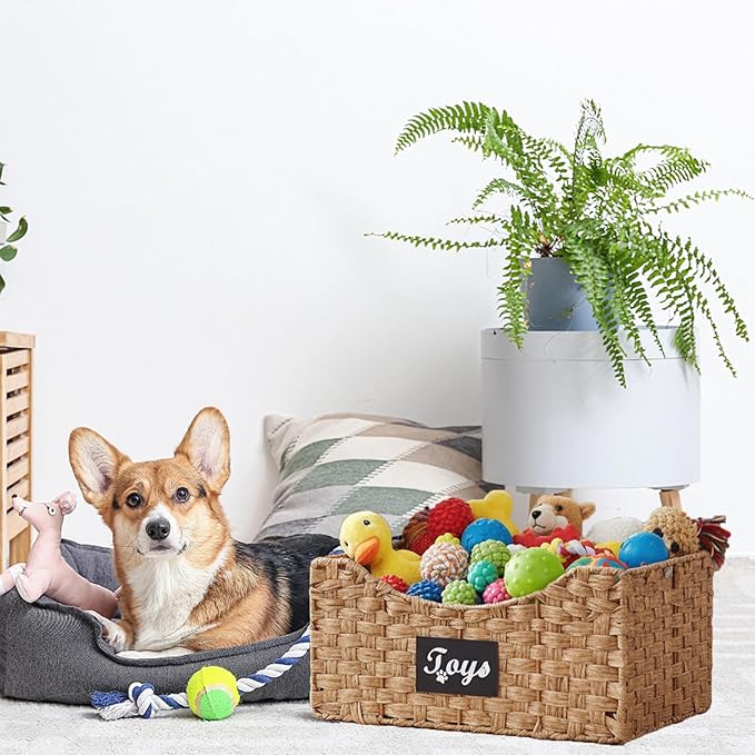Dog Toy Storage Basket Medium,Wicker baskets for Dogs Cats,Pet Toys Bin,Collapsible Puppy Toys Box with Wire Frame,Ideal for Storing Pet Supplies, Easy-Access(Brown)