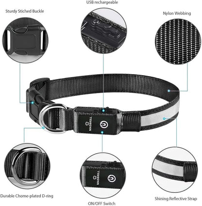 MASBRILL Light Up Dog Collars - LED Dog Collar Rechargeable Lighted Dog Collars for Night Resistant-Water Glow Dog Collar