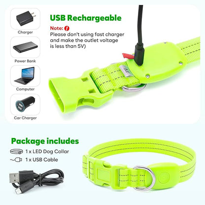 LED Dog Collar, Reflective Glow Collar for Night Safety, USB Rechargeable, Waterproof, Adjustable Flashing (Green, Small)