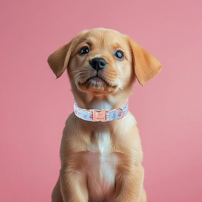 Valentines Dog Collar for Puppy Small Dogs - Cute Blue Heart Pattern Puppy Collar Sweet Valentine Adjustable Heavy Duty Pet Collar with Metal Buckle XS