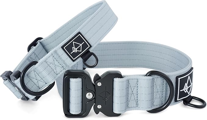 Made to ROAM Premium Dog Collar - Adjustable Heavy Duty Nylon Collar with Quick-Release Metal Buckle (Alaska Daybreak, Classic Size 3)
