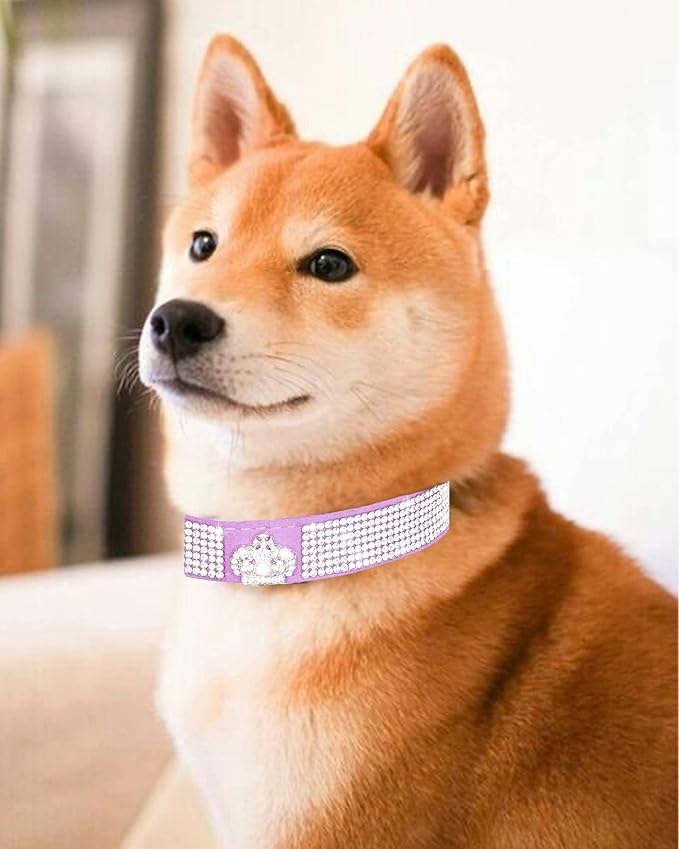 Bling Dog Collar for Small Medium Large Dogs, Crown Rhinestone Dog Collars for Girl and boy Dog, Diamond Puppy Collars, Adjustable Leather Suede SOFE Cat Collar (S(10.6"-13"/27CM-33CM), Purple)