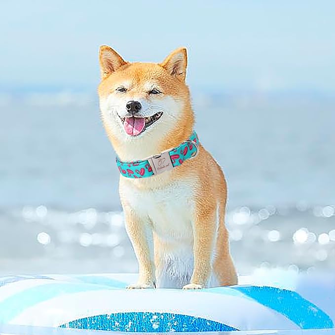 Summer Dog Collar, Cool Flamingo Float Pet Collar with Metal Buckel, Durable Adjustable Designer Dog Collars for Small Medium Large Dogs XS