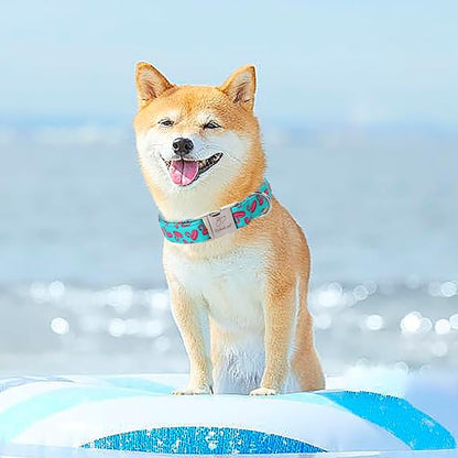 Summer Dog Collar, Cool Flamingo Float Pet Collar with Metal Buckel, Durable Adjustable Designer Dog Collars for Small Medium Large Dogs L