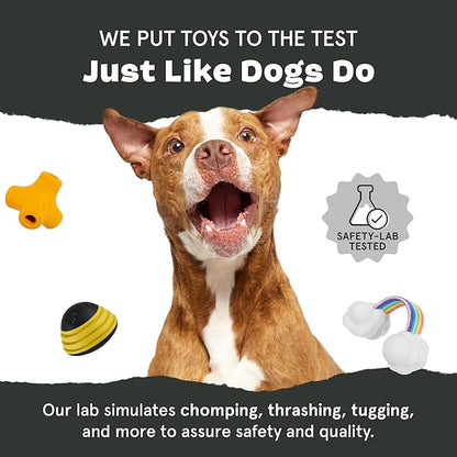 Barkbox Super Chewer Tough Dog Chew Toys for Aggressive Chewers, Treat Dispensing (Origin - Small)