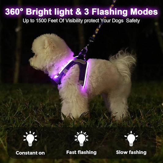 Light Up Dog Harness,Rechargeable LED Dog Harness for Small Medium Large Dogs,Reflective Lighted Safety Vest for Night Walking & Camping,Lightweight & Adjustable,Purple,S