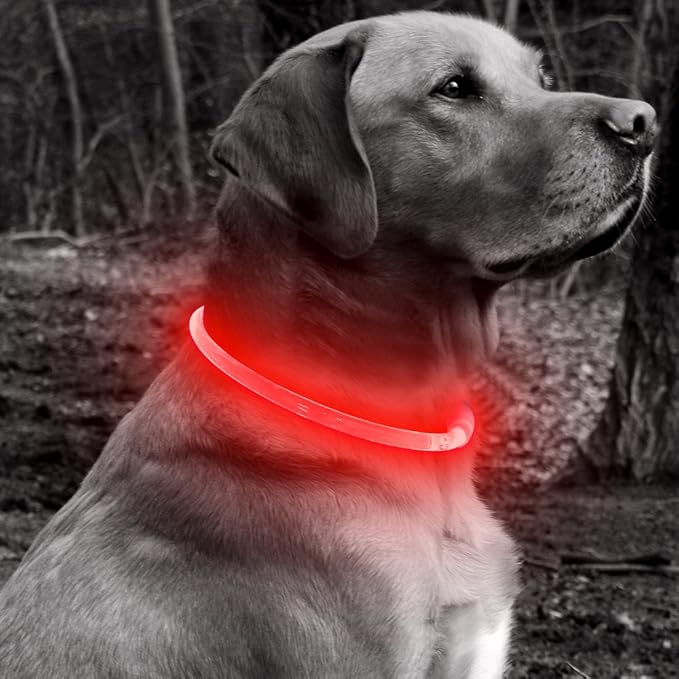BSEEN Light Up Dog Collar - Type-C Rechargeable LED Dog Collar - 360° Glow in The Dark Pet Collar for Small Medium Large Dogs, TPU Cuttable Puppy Collar Safety Dog Lights for Night Walking (Red 70cm)