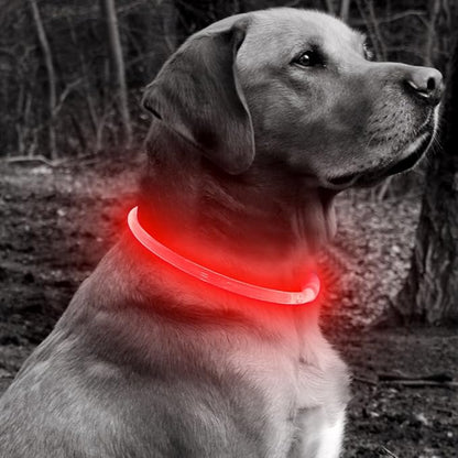 BSEEN Light Up Dog Collar - Type-C Rechargeable LED Dog Collar - 360° Glow in The Dark Pet Collar for Small Medium Large Dogs, TPU Cuttable Puppy Collar Safety Dog Lights for Night Walking (Red 70cm)