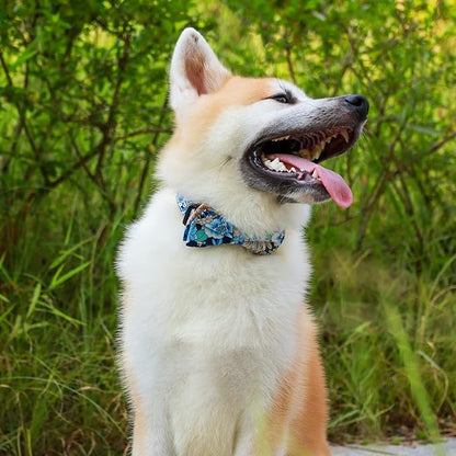 Faleela Cute Soft Girl Dog Collar with Bow, Bowtie Dog Collar for Boy,Detachable Adjustable Collar for Small Medium Large Pet