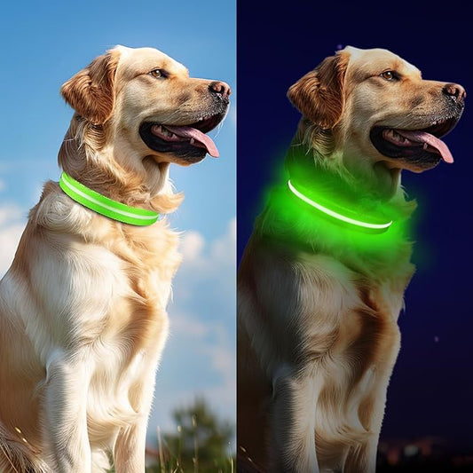 Light Up Dog Collar, Adjustable USB Rechargeable Glow in Dark Dog Collar ，Waterproof Dog Collars for Medium Dogs (Green, Medium)