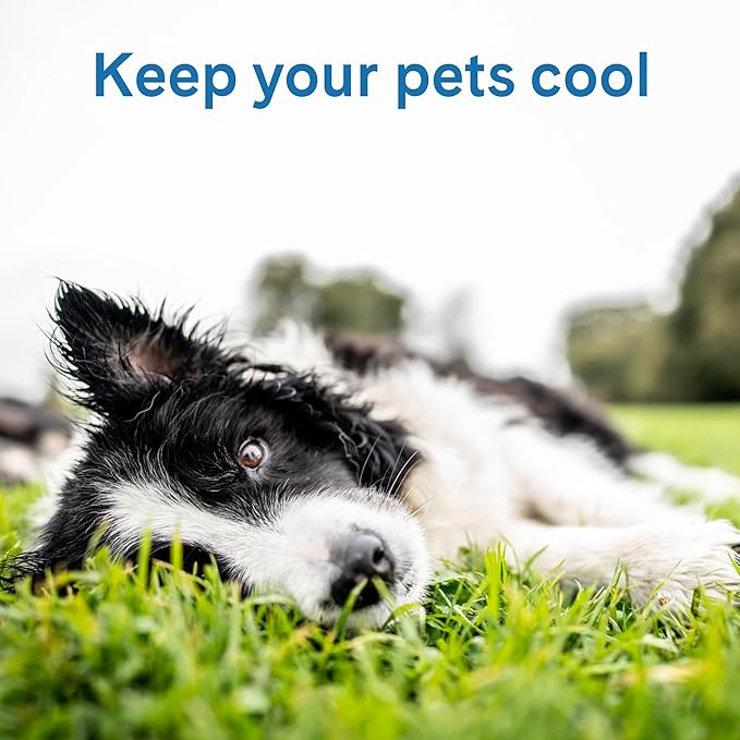 The Green Pet Shop Cool Pet Pad - Small, Latte- Self-Cooling, Pressure Activated Mat for Dogs & Cats from 9-20 lbs - Non-Toxic Gel, No Water Needed