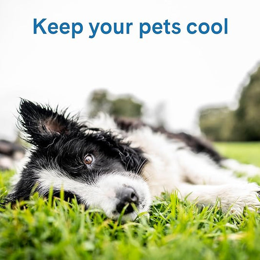 The Green Pet Shop Cool Pet Pad - Extra Large, Latte- Self-Cooling, Pressure Activated Mat for Dogs & Cats from 80+ lbs - Non-Toxic Gel, No Water Needed