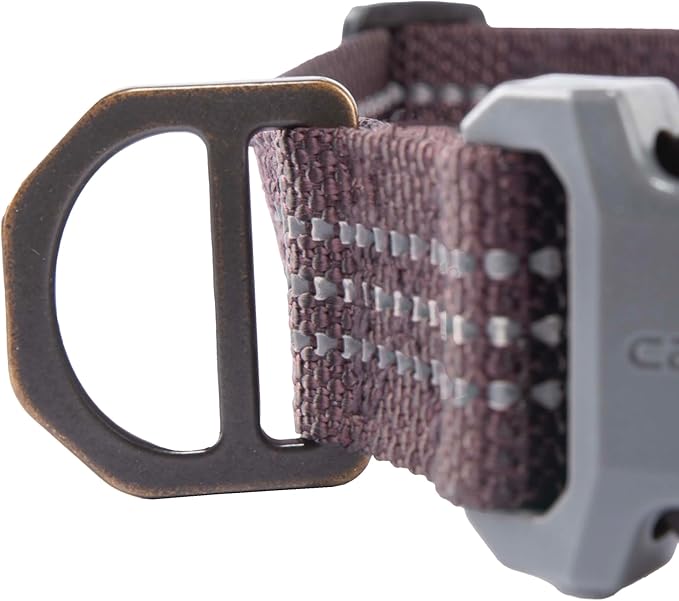 Carhartt Nylon Webbing Dog Collar, Fully Adjustable W/Durable Side Release Buckle, Deep Wine, Medium
