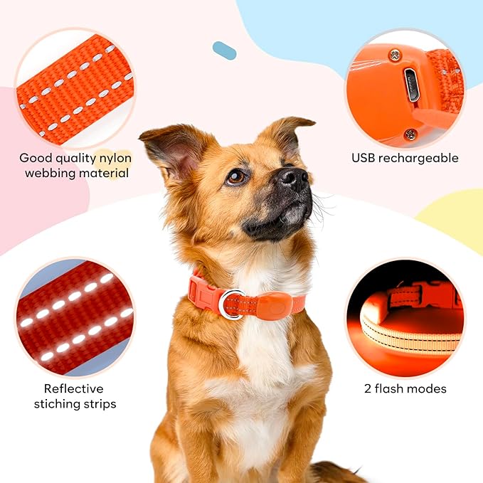 Light Up Dog Collar - Rechargeable LED Pet Collar for Puppies & Cats, Glowing Safety Dog Lights for Night Walking (Orange, XS)