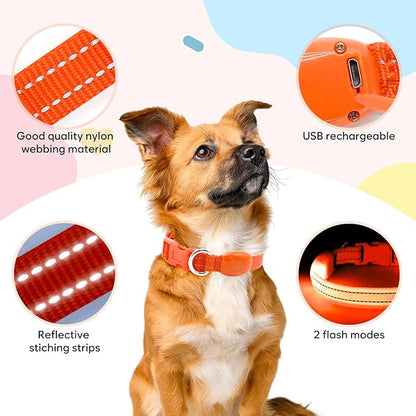 Light Up Dog Collar - Rechargeable LED Pet Collar for Puppies & Cats, Glowing Safety Dog Lights for Night Walking (Orange, XS)