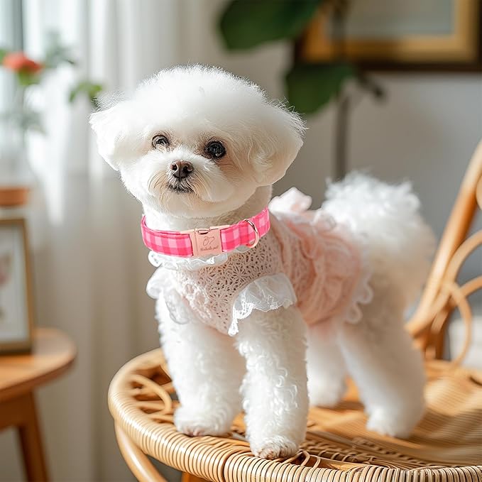 Pink Checkerboard Dog Collar, Classic Girly Plaid Dog Collars, Adjustable Heavy Duty Girl Dogs Collar for Small Medium Large Dogs with Metal Buckle S