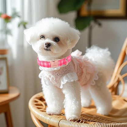 Pink Checkerboard Dog Collar, Classic Girly Plaid Dog Collars, Adjustable Heavy Duty Girl Dogs Collar for Small Medium Large Dogs with Metal Buckle S