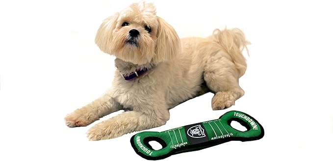 NFL Football Field DOG TOY with Squeaker. - LOS VEGAS RAIDERS - For Tug, Toss, and Fetch. - Tough & Durable PET TOY