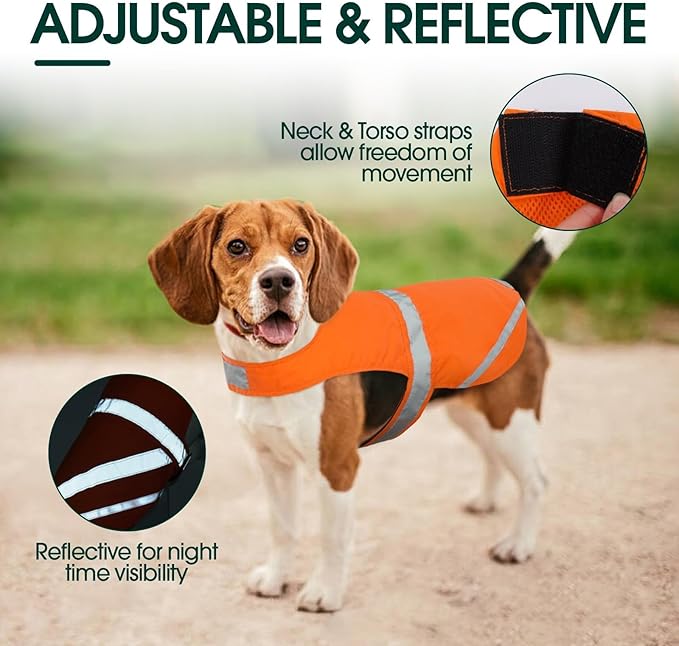 Kuoser Reflective Dog Vest, High Visibility Safety Vest for Medium to Large Dogs, Lightweight Pet Reflective Vests for Hunting Outdoor Activities Walking at Night, Blaze Orange XL