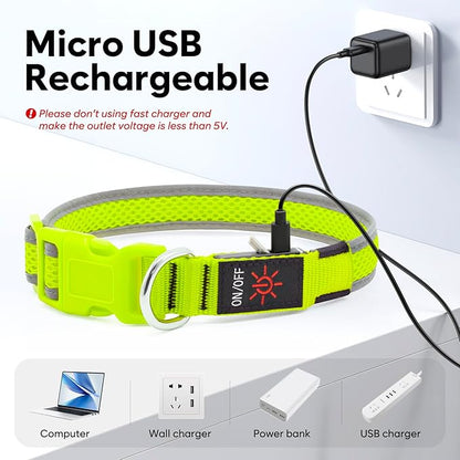 LED Dog Collar, Light Up Dog Collar USB Rechargeable, Brightest Dog Lights for Night Walking, Adjustable Dog Collar Light for Dog Safety(Medium, Neon Green)