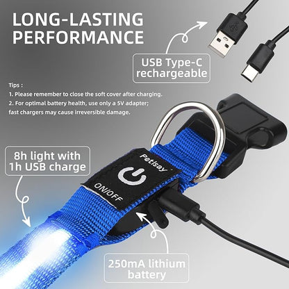 Super Bright LED Dog Collar - Fully Waterproof & Adjustable Glow Collar - USB-C Rechargeable for Night Walking, Safety - Flashing Lighted Collar for Dogs(Blue,Small)