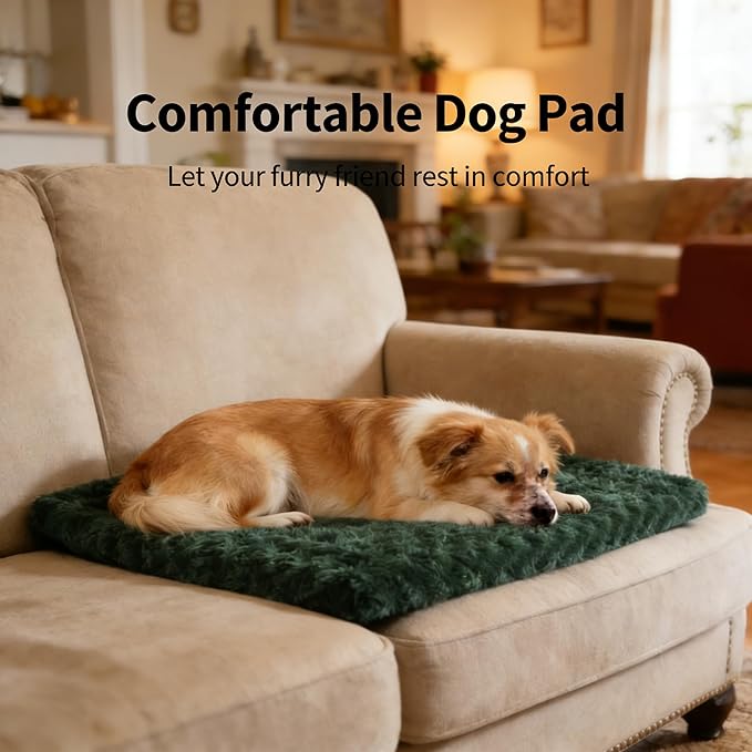 Dog Crate Bed Pad – Reversible Fleece Mat for Small, Medium, Large Dogs – Soft & Washable Anti-Slip Dog Bed Mat for Cages and Kennels – Comfortable, Durable Sleeping Pad for Dogs, Green, L