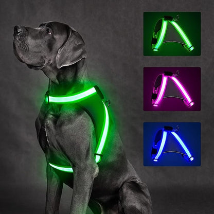 ChalkLit Light Up Dog Harness, No Pull Led Dog Harness Glow-in-The-Dark for Night Walking, USB Rechargeable Lighted Safety Vest for Medium Large Dogs, Adjustable Soft Mesh Fully Illuminated(Green, L)