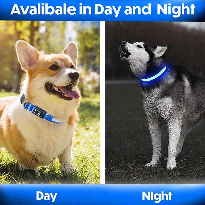 Light Up Dog Collar – Reflective, Adjustable & Rechargeable Electronic Glow Pet Collars – Bright, Comfortable, High Visibility LED Dog Collar for Night Safety, Outdoor Walk, Flashing Fun, Blue, Medium