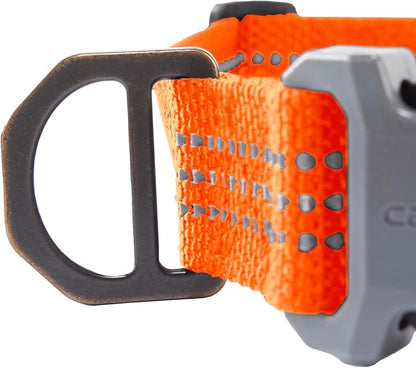 Carhartt Nylon Webbing Dog Collar, Fully Adjustable W/Durable Side Release Buckle, Hunter Orange, Large