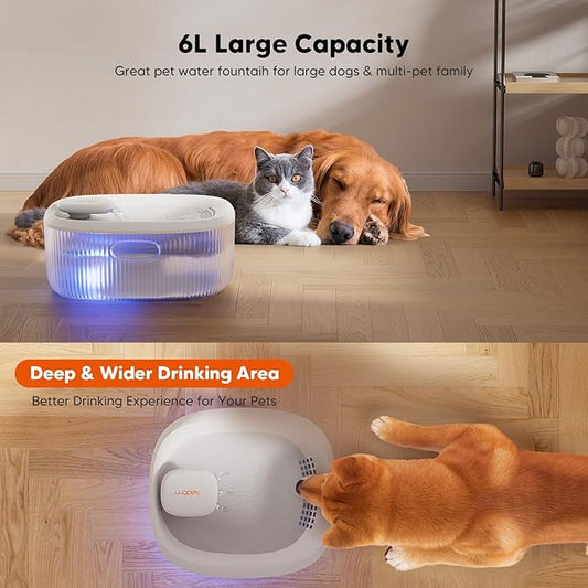 WOPET Dog Water Fountain for Large Dogs, 6L/205oz/1.7Gal Automatic Dog and Cat Water Fountain, Pet Water Dispenser with 2 Filters, Ultra-Quiet Pump, Great for Large Dogs Cats and Multi-Pet Home