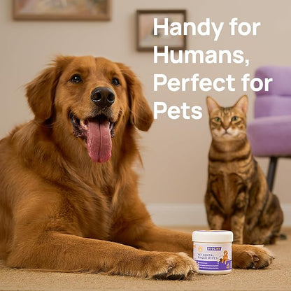 HICC Pet Teeth Cleaning Wipes for Dogs & Cats, Remove Bad Breath by Removing Plaque and Tartar Buildup, Disposable Dog Finger Toothbrush Gentle Pet Dental Care Wipes, 50 Counts, (Mentha Spicata Scent)
