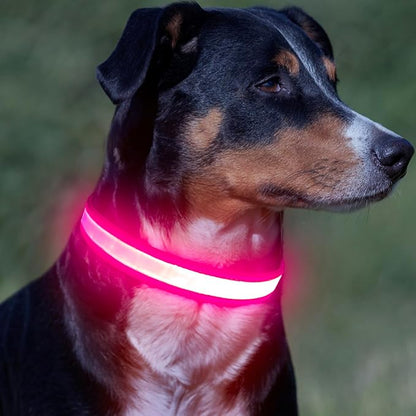 Vizpet LED Dog Collar, Light Up Dog Collar Adjustable USB Rechargeable Super Bright Safety Light Glowing Collars for Dogs (X-Large, Pink)