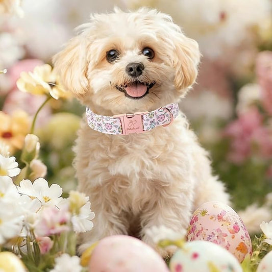 Easter Dog Collar, Pastel Floral Egg Easter Collars for Giant Large Dogs, Cute Girly Spring Holiday Dog Collars, Adjustable Heavy Duty Female Pet Collar with Metal Buckle XL