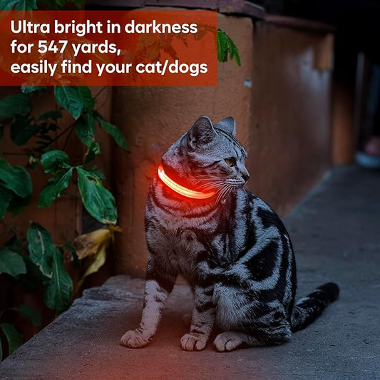 Light Up Dog Collar - Rechargeable LED Pet Collar for Puppies & Cats, Glowing Safety Dog Lights for Night Walking (Orange, XS)