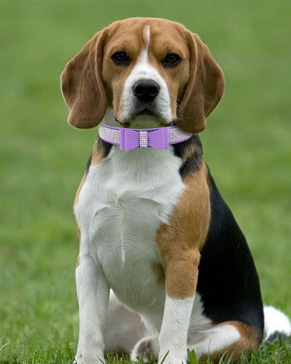 Bling Dog Collar for Small Medium Large Dogs, Crown Rhinestone Dog Collars for Girl and boy Dog, Diamond Puppy Collars, Adjustable Leather Suede SOFE Cat Collar (XS(8.2"-10.6"/21CM-27CM), Purple3)