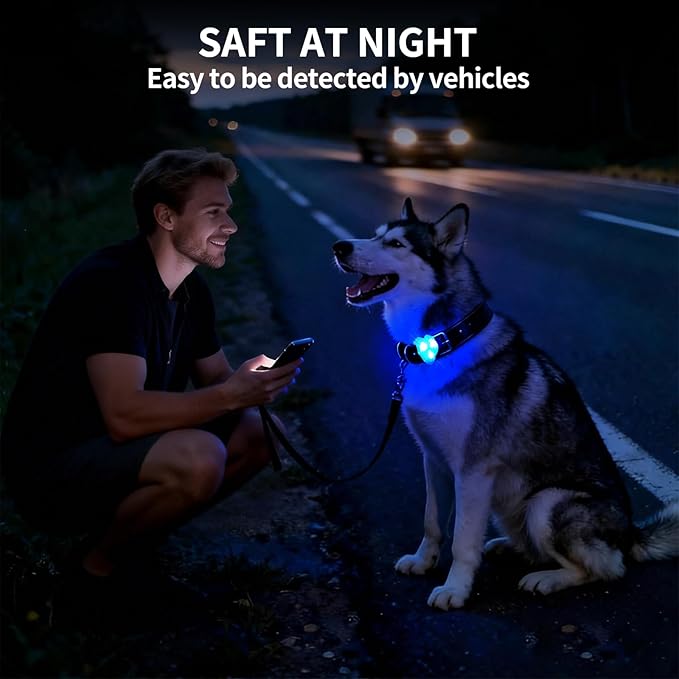 LaRoo LED Dog Collar Light - Waterproof Clip-On 3 Modes, High Visibility for Night Walking/Camping, Pet Safety Light for Small/Medium/Large Dogs (Blue)