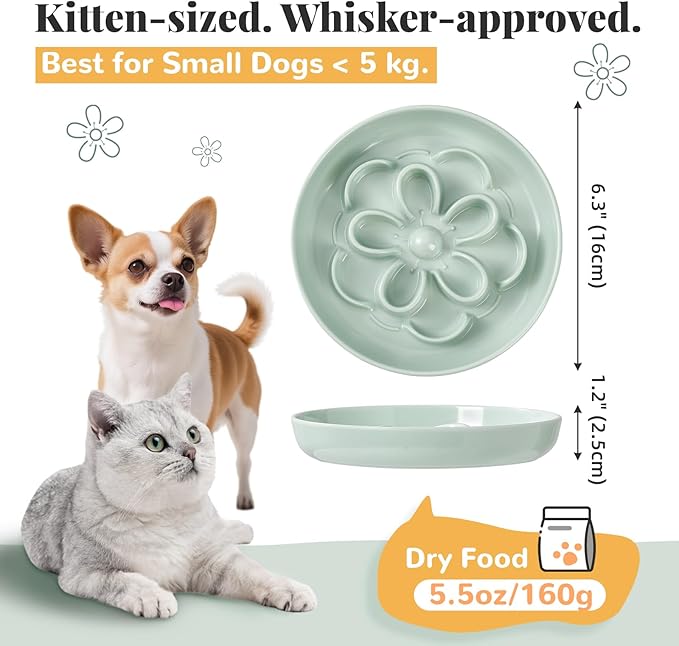 Melamine Cat Slow Feeder Bowl - Floral Maze Cat Food Dish - Flat Plate for Dry & Wet Food - Cute Kitten Bowl - Dishwasher Safe - 6.3'' W x 1'' H - 5.5 oz (160g) - Blue