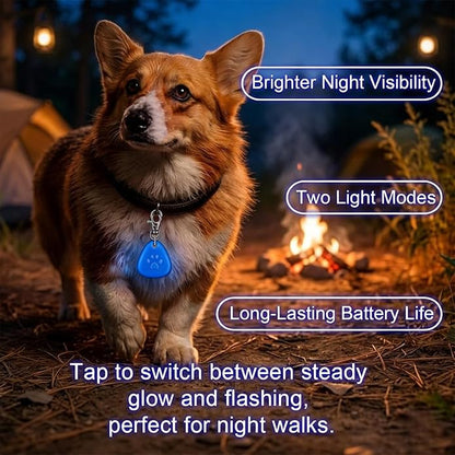 QUELIEN LED Dog Collar Light, Clip-On Dog Safety Light for Night Walking, High Visibility Light Up Dog Collar Accessory for Summer Camping & Hiking, Lightweight for All Pets, Blue