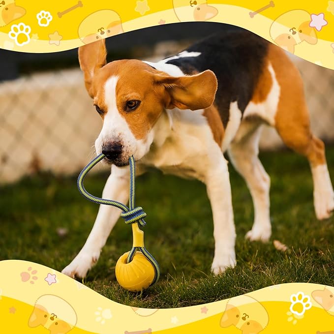 Hsei 2 Pcs Medium Dog Ball on a Rope Rubber Dog Toy with Handle Ball Yellow Floats in Water for Tug Training Rewards Interactive Pet Fetch Catch Throw Outdoor Puppy Teething Medium Pet
