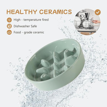 Ceramic 0.9 Cup Raised Slow Feeder Dog Bowl Set, Elevated 6.1inch Slow Dish and 6.1inch Water Bowl with Wooden Stand for Small Dogs (2 x Light Green+ Stand)