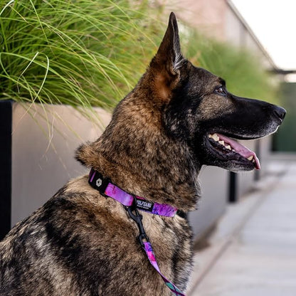 Wolfgang Heavy Duty, Adjustable Dog Collar with Quick Release Nylon Buckle for Walking & Training, Daydream Print, Medium